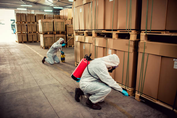 Best Flea Control Services  in Fruitridge Pocket, CA