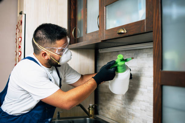 Best Exterminator Services  in Fruitridge Pocket, CA