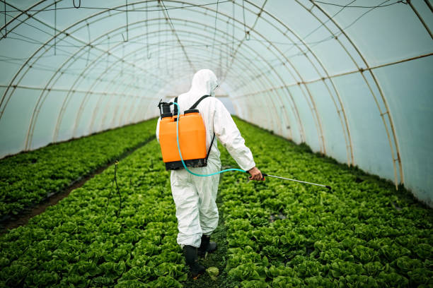 Best Best Pest Control Companies  in Fruitridge Pocket, CA