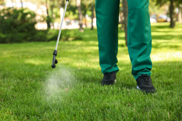 Best Affordable Pest Control Services  in Fruitridge Pocket, CA