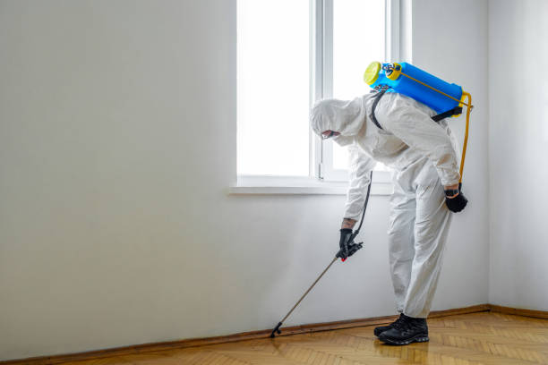 Pest Control Cost in Fruitridge Pocket, CA