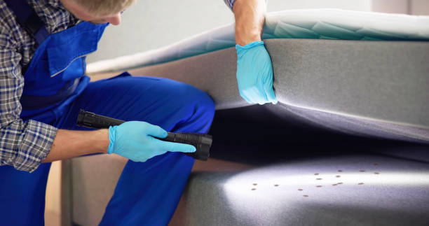 Best Wasp Removal Services  in Fruitridge Pocket, CA