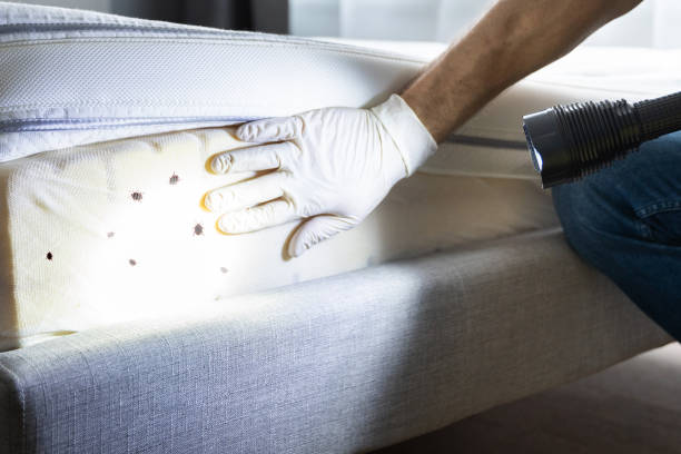 Best Cockroach Control Services  in Fruitridge Pocket, CA