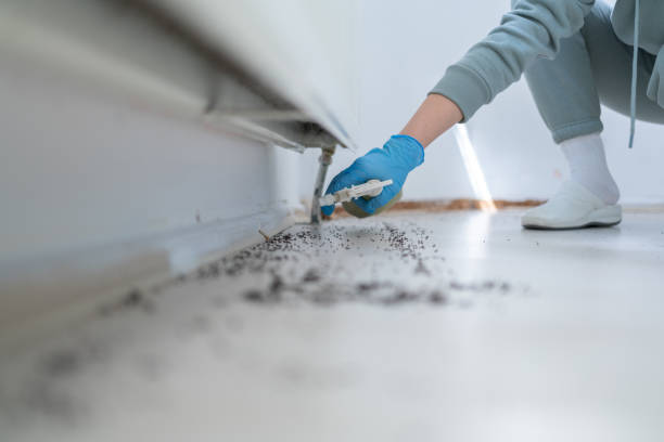 Best Ant Control Services  in Fruitridge Pocket, CA
