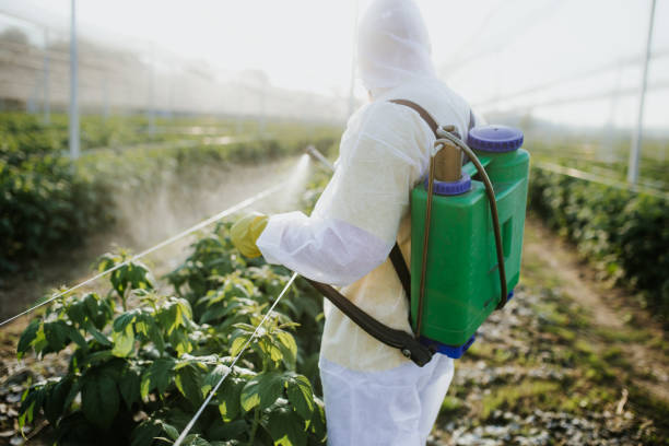 Best Commercial Pest Control Services  in Fruitridge Pocket, CA